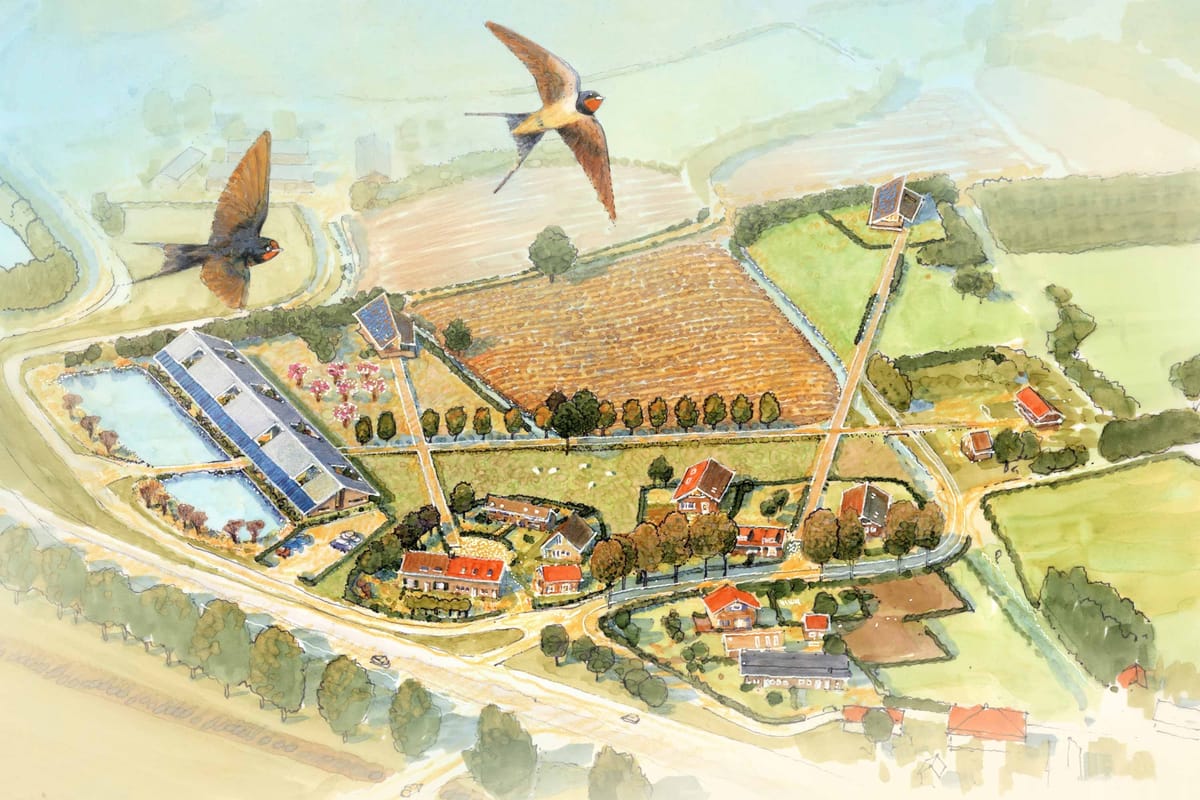 5 lessen na 30 jaar natuurinclusief bouwen